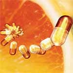 Lipid Profiles, Blood Pressure, and Body Mass Index