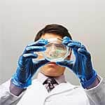 Estriol Reduces Markers of Cardiovascular Risk