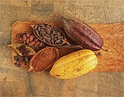 The Disease-Fighting Power of Polyphenols