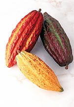 Polyphenols: Healing Compounds From Nature’s Pharmacy