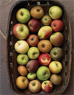 An Apple A Day Keeps the Doctor Away