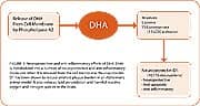 As well as killing neurons, diets low in DHA decrease PS levels in the hippocampal region of the brain, associated with memory consolidation, which may explain, in part, the improvement in cognition and memory seen in studies of PS supplementation in patients with dementia.