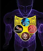 Protection Against Arterial Calcification, Bone Loss, Cancer, and Aging!