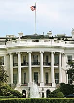 What Makes Pyridoxamine So Special?