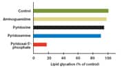 Figure 3: Efficacy of Aminoguanidine and B6 Vitamers in Inhibiting Lipid Glycation.