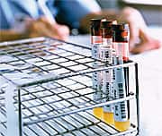 Tying All This Together