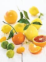 Fighting Cancer Metastasis and Heavy Metal Toxicities With Modified Citrus Pectin