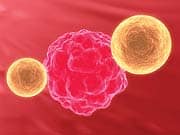 Circulating Tumor Cells Predict Risk of Relapse