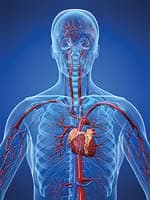 Dr. Gofman Explained How X-rays Cause Atherosclerosis