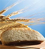 Wheat: The Unhealthy Whole Grain