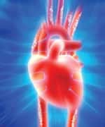 Calcium Should Not Be Taken By Itself