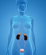 Why Women Need Testosterone— and DHEA