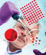 Transglucosidase: Reducing Sugar Surges