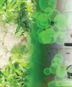 Protect Yourself From Environmental Cancer