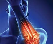 Blocking Inflammation Can Prevent Obesity And Diabetes