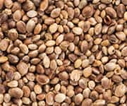 Ways To Integrate Hemp Seeds Into Your Diet