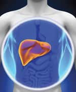 TABLE 2: Nutrients That Regulate Liver Detoxification Enzymes