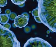 SIDEBAR IMAGE ALT TEXT