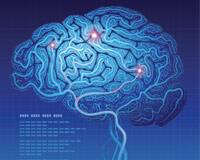 How Taurine Enhances Brain Function