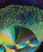 Photomicrograph of glutathione crystals