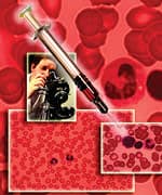 Blood cells close up