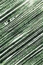 Zeroing in on Anti-Cellulite Compounds