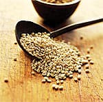 Whole-Grain Goodness