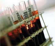 Too Many Needless Deaths