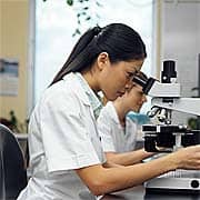 Nutritional Approaches to Maintaining Stomach Health