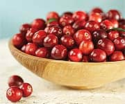 Cranberry