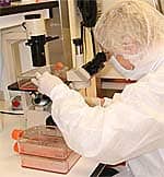 Regenerative Medicine Breakthroughs