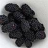 Blackberry