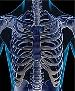 Plum Extract Supports Bone Health