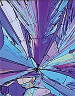 Foods and Nutrients Support Healthy Bones