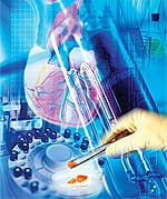 Is Homocysteine Making You Sick?