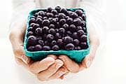 Blueberries Battle Cancer