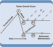 Mapping Tumor Growth: The Dynamics of Cancer’s Life Cycle