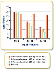 Seborrheic dermatitis