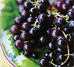 Berries and Grapes: Plant Polyphenols Preserve Memory