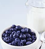 Vinpocetine Manages Brain Blood Flow