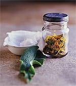 Herbal Extracts Spice up Memory