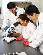 Higher Vitamin E Levels in Smokers Linked With Reduced Pancreatic Cancer Risk