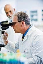 “Horseradish is one of the few medicinal vegetables whereby processing actually improves its anticancer benefits.”