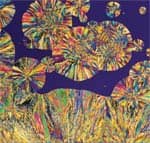 What You Need to Know: Bioidentical Hormones