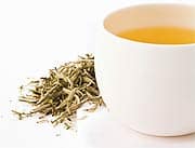 Why Plant Foods Are So Important