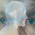 Florence Henderson Supplement List