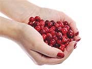 A Potent New UTI Intervention