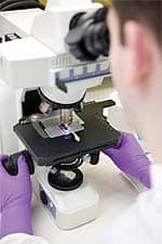 Mayo Study Links Increased Vitamin K Intake to Lower Non-Hodgkin Lymphoma Risk