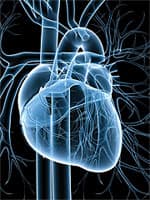 How to Boost Your PON-1 Levels