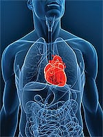 Lower Cholesterol Safely